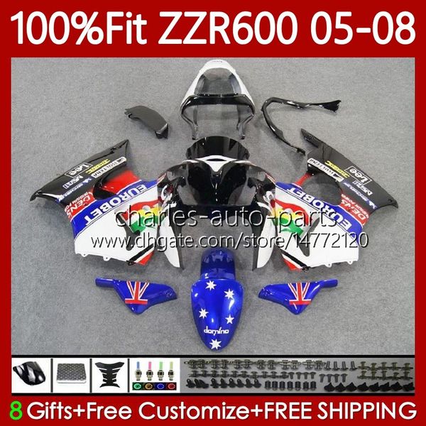 100 % passende Verkleidungen für KAWASAKI NINJA 600CC ZZR-600 600 CC 2005–2008 Karosserie 134Nr