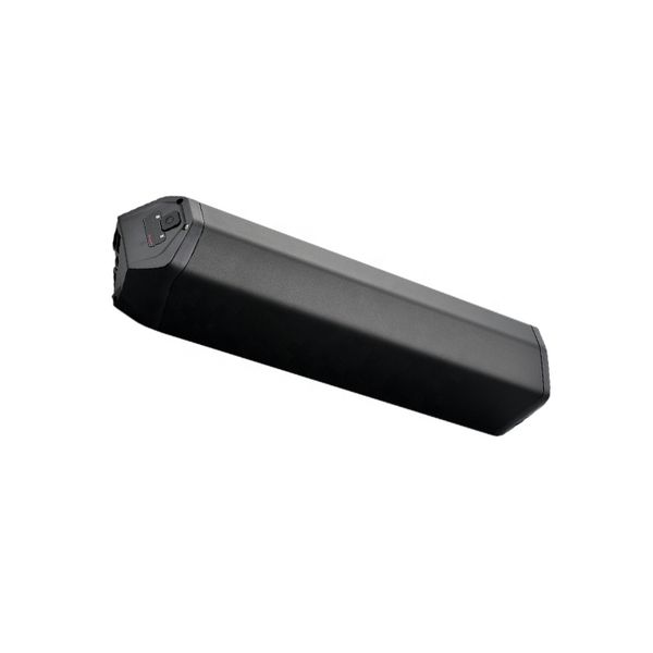 

reention dorado 48v 20ah 25ah high capacity battery pack lithium batteries for ebike