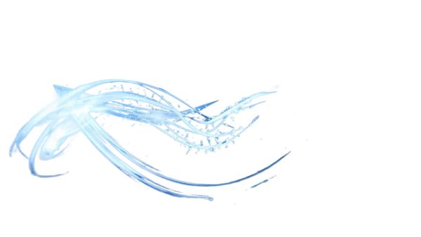 

when ying europe and the united states sleeveless vest women amazon new spring and summer leisure breathable hanging neck solid color vest w, White