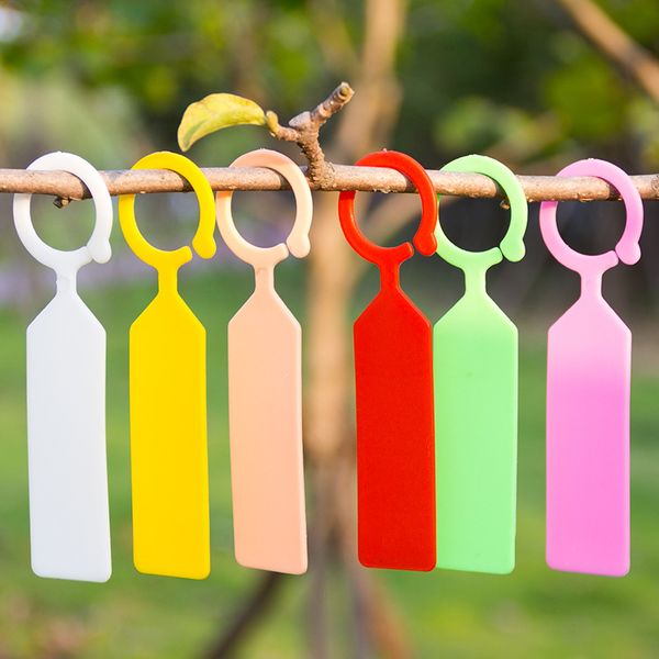 Forniture da giardino Anello Etichette appese in plastica Marcatori per vasi da fiori da giardino Riutilizzabili Gancio spesso impermeabile Tag per alberi Strumento di decorazione 20220826 E3