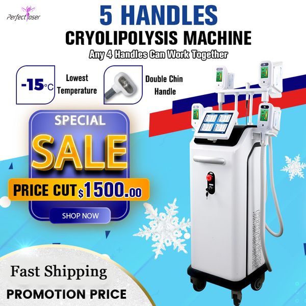 2023 Novas máquinas de congelamento de gordura 5 lida Cryolipólise Slimming Cryo Chin Cellulite Remoção Equipamento de Cryolipolisis à venda