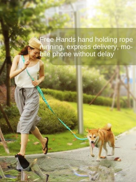 Collari per cani Guinzagli Fashion 2.5m Back Harness No Pull Free Hands Piccolo guinzaglio di design medio Accessori per cinture da corsa Prodotti per animali domestici