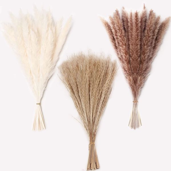 

60 pcs pampas decor dried flowers bouqet pompass grass branches arrangements wedding home decoration reed pampas secas grandes