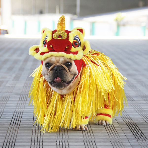 

cute dance lion pet costume dog apparel dogs new year clothes cat hoodies coat for small meduim large cats 1222234