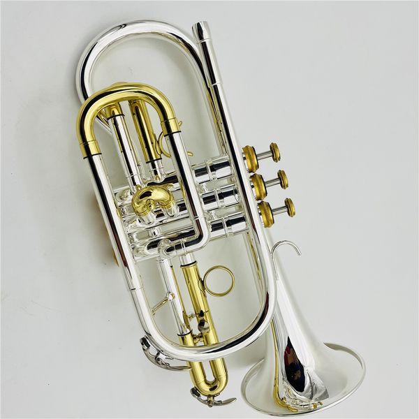 Profissional Silver e Gold Bated Horn B-flat Brass Professional Brass Instrument com acessórios de caixa