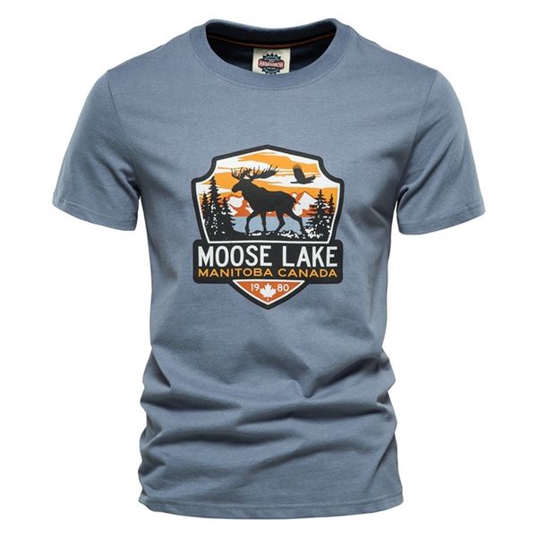 

aiopeson printed t shirt for men 100% cotton streetwear classic oneck tees men slim fit sanding mens t shirts 220704, White;black