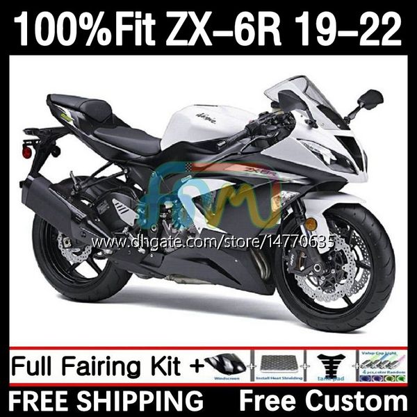 Corpi per stampi ad iniezione per KAWASAKI NINJA ZX 636 600CC ZX636 19-22 Carrozzeria 6DH.30 ZX 6R ZX-6R ZX6R 19 20 21 22 Telaio ZX-636 2019 2020 2021 2022 Kit carenatura OEM bianco lucido