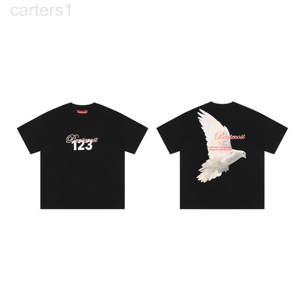 

men's t-shirtdgcocv3123palwmfuni0, White;black