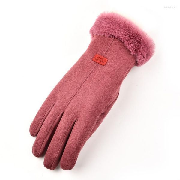 Fünf Finger Handschuhe Wildleder Weibliche Winter Plus Samt Verdickung Outdoor Radfahren Elektrische Motorrad Arbeit