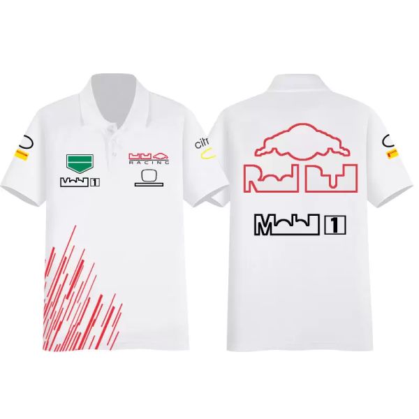 F1 camiseta uniforme da equipe de corrida fórmula um camisa polo de corrida plus size camiseta moda masculina verão f1 roupas de fã de carro