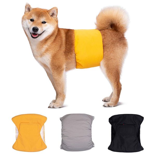 FARILIDADE DE DOG PENTES Fisiológica à prova d'água lavável macho de cachorro calcinha menstrual shorts cuecas de roupas íntimas pet big cogring cinto de cachorro