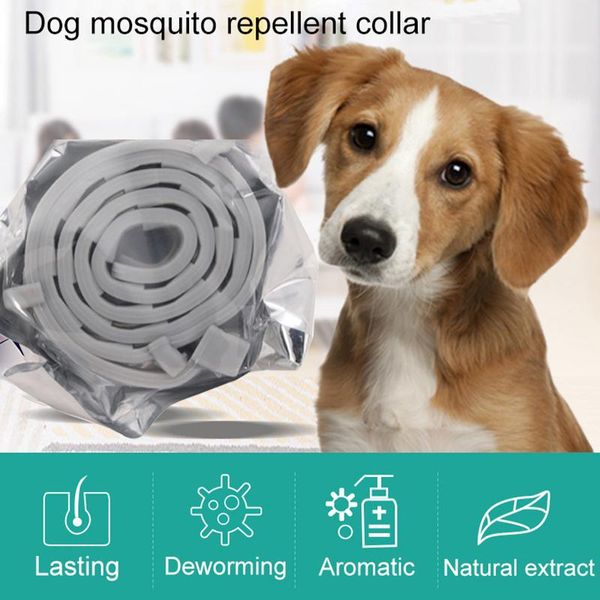 Colarinhos de cachorro colares anti -pulga e carrapato colarinho gato antiparasita para gatos para gatos mosquitos repelentes acessórios para animais de estimação