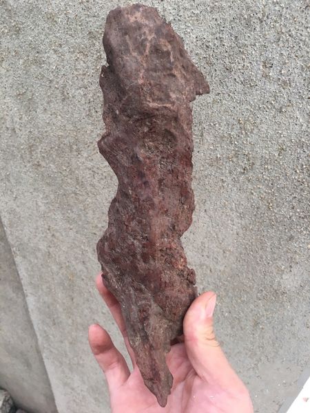 

hainan chrysanthemum pear (huanghuali) natural art ornaments chinese style handicrafts [millennium fragrance]