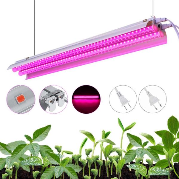 LED LUZES DE CRESCIMENTO COMPRETURA LUDER LED LED ILUPSELHO 50 CM CANDELIER DE PLANTA DE TUBO DUPLO PARA PLANTAS INOSIS HINDIDOPONICAS