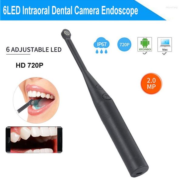 Telecamere Telecamera intraorale dentale Endoscopio 6LED USB Micro-controllo Ispezione orale Ispezione in tempo reale Otoscopio Dente CameraIP IPIP IP