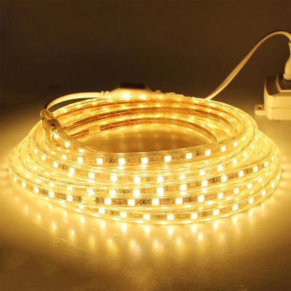 220V Светодиодная полоса 120LEDS 8 Вт/м с заглушкой ЕС и выключателем, а не ослепительно гибкой легкой водонепроницаемым наружным использованием светодиодная лента