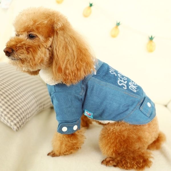 Собачья джинсовая куртка щенка одежда зимняя домашняя наряда голубо