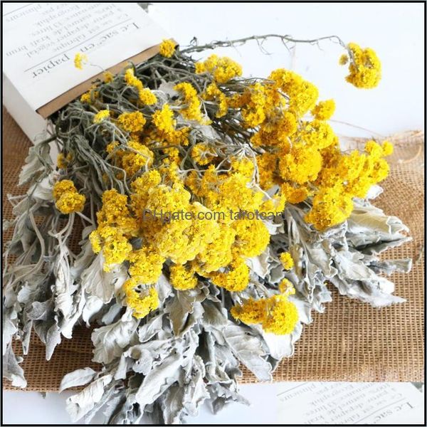 Ghirlande di fiori decorativi 10 pezzi Bouquet di fiori polverosi conservati in naturaEternal Sierleaf Fai da te in vetro secco Er Materiale floreale galleggiante Goccia Del