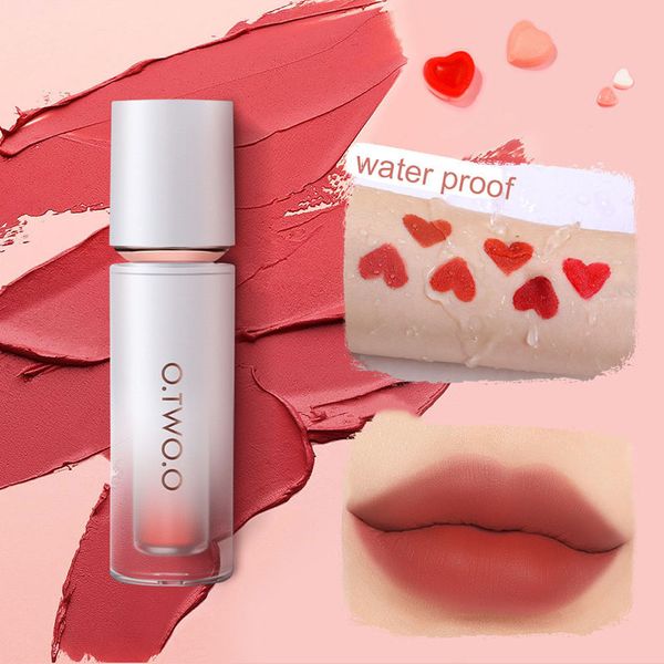 Mais novo 2,5 g Velvet Matte Lip Gloss Misty Cream Lip-Slime À prova d'água Long Lasting Lip Stick Lip-stain Lip-glow Bálsamo para os lábios Maquiagem Cosmética Beleza Atacado ZL0870