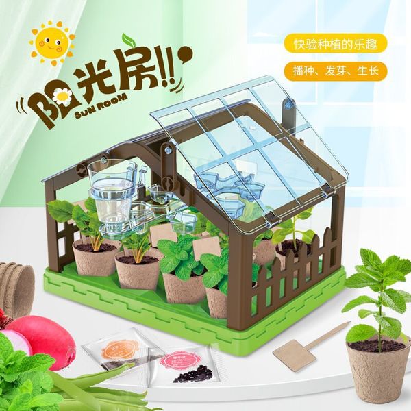 stem toys sunshine room plant cultivation children's manual diy interesting scientific experiment...