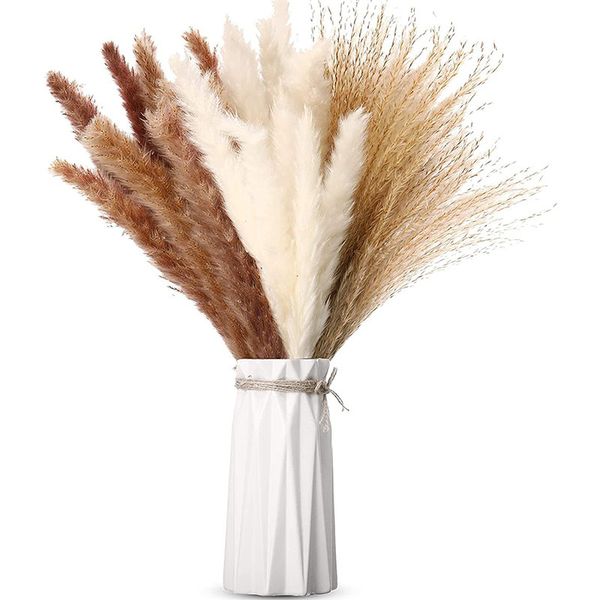 

15/35/50pcs phragmites dry flowers natural dried pampas grass decor boho home room decoration bouquet for wedding decor arrangement