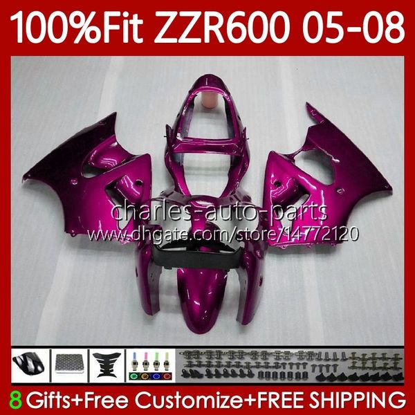 Stampo ad iniezione corpo OEM per KAWASAKI NINJA ZZR600 05-08 ZX ZZR-600 600 CC 05 06 07 08 Carenatura 134No.211 100% Fit ZZR 600 ALL Pink 600CC 2005 2006 2007 2008 Kit carenatura