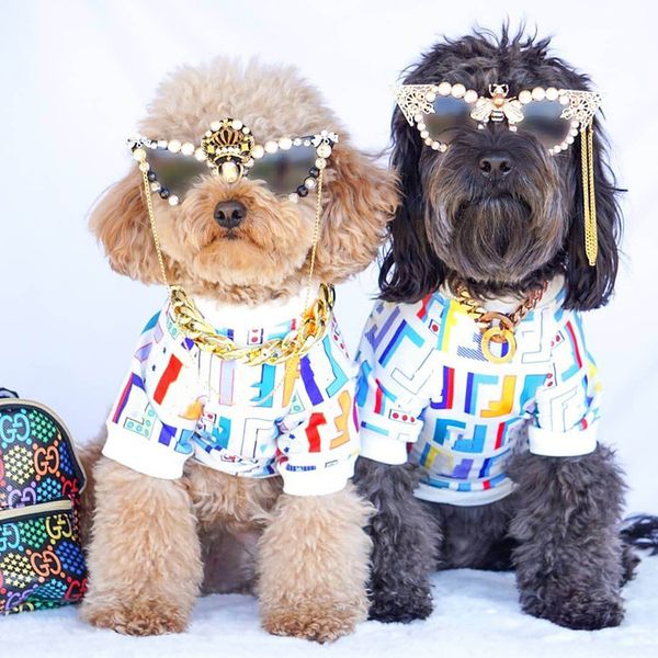 

2022 dog apparel classic letter print pet clothes fashion brand designer casual spring and autumn pup coat soft warm and elegant