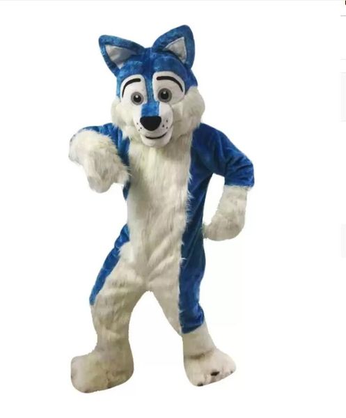 Trajes de mascote azul mascote personagem de banda desenhos animado personagem de desenho animado personalizado tamanho adulto longteng