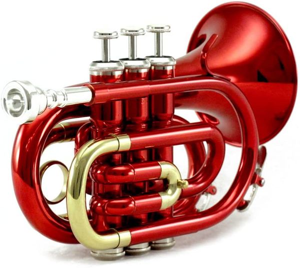 

pocket trumpet tone flat b bb brass wind instrument with mouthpiece gloves cloth brush grease hard case