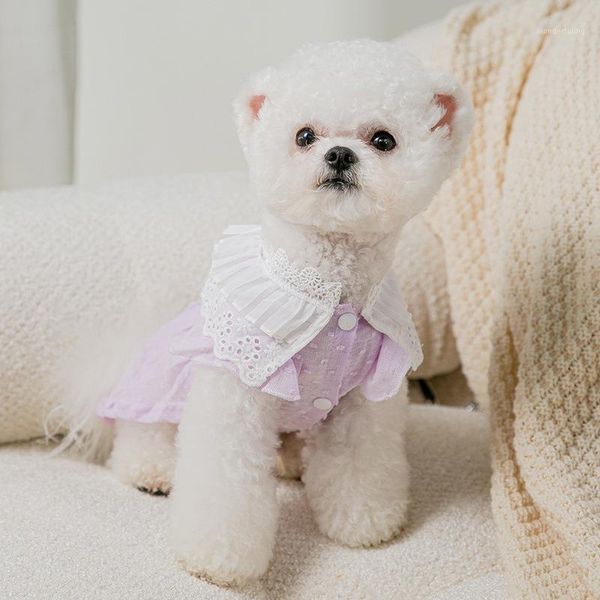 Собачья одежда кружево домашняя одежда собак сладкий кошачий воротник принцесса платье одежда костюм маленький котенок милый летний розовый мальчик йоркшируд
