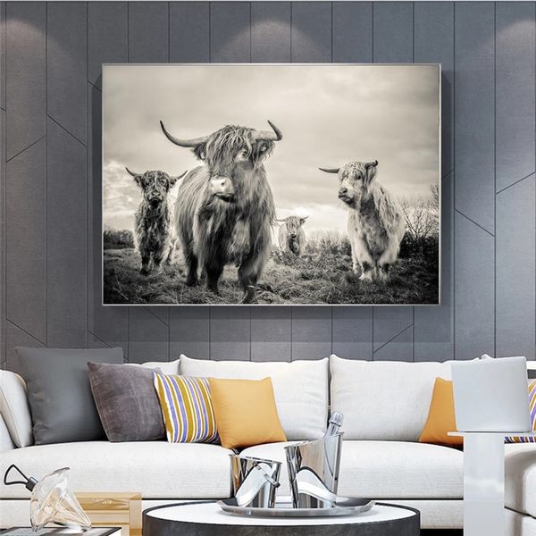 Highland Cow Poster Canvas Art Posters e impressões de gado Pintura de gado Arte da parede Decoração nórdica Imagem da parede para sala de estar