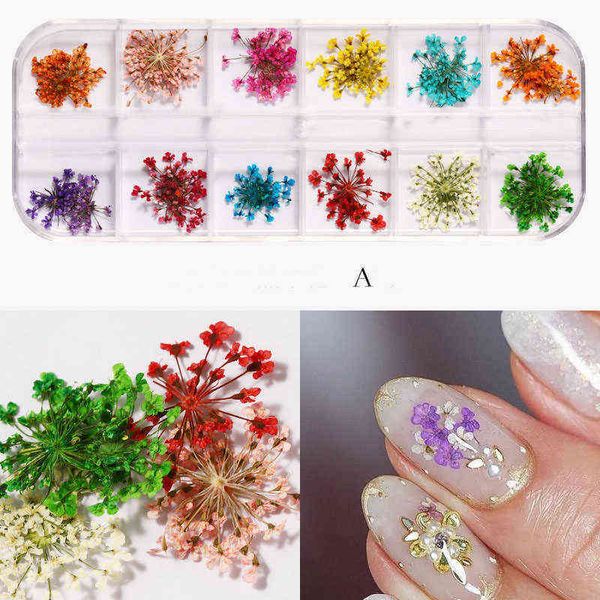 12 Stil getrocknete Blumen Nageldekorationen natürliche Blumen Sonnenblume Gänseblümchen Aufkleber 3D Nail Art Designs polnische Maniküre Zubehör Y220408