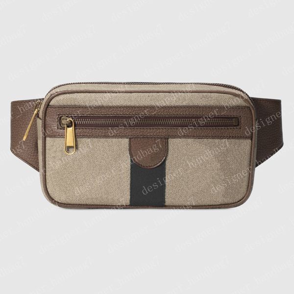 

waist bag bumbag belt bags mens backpack men tote crossbody purses messenger bag handbag fashion wallet fannypack size 24/14/5.5cm 474293 #y