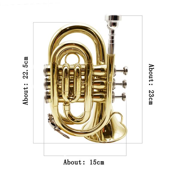 

2022drop b lacquer gold pocket miniature palm trumpet instrument