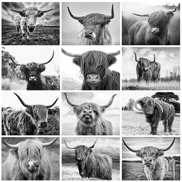 Nordic Style Highland Kuh Schwarz Weiß Tiere Leinwand Malerei Poster und Drucke Wandkunst Abstrakte Bilder Home Decor Cuadros