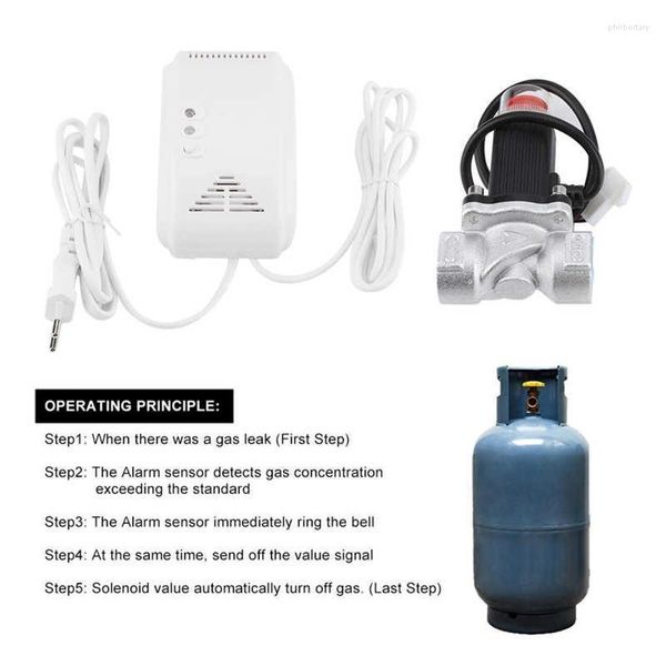 Dispositivo di sicurezza domestica per rilevatore di sensori di allarme per gas naturale con elettrovalvola per macchine per il pane con Phil22