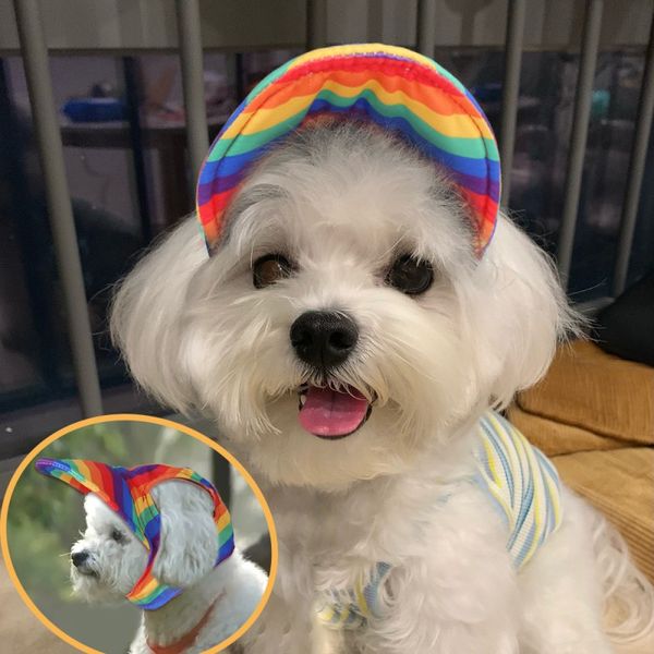 Hundebekleidung, Haustier-Baseballmütze, Hundezubehör, Hut, 6 Farben, große Größe