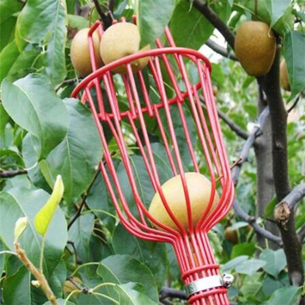 Ferramentas de jardim de cesto profundo Chequeiro de frutas Cabeça conveniente Apple Peach Picking Farm Dispositivo 220813