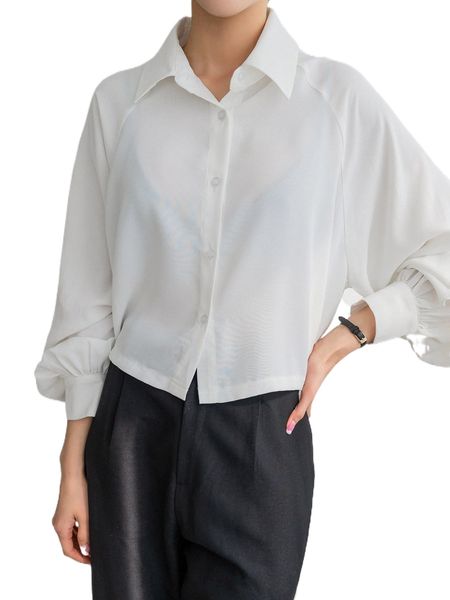 

dazy raglan sleeve solid blouse p1vm#, White