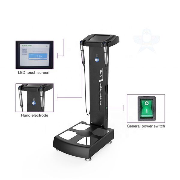 Máquina de emagrecimento do analisador de gordura do corpo portátil Corrigido a composição inteira do corpo de Digitas da varredura da varredura da escala e dos analisadores da beleza para fi