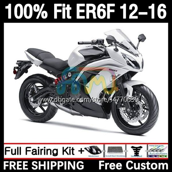 OEM-Karosserie für KAWASAKI NINJA 650R 650 R ER6 F ER 6F 2012–2016 Karosserie 11DH.6 ER-6F ER6F 12 13 14 15 16 650-R 2012 2013 2014 2015 2016 Spritzguss-Verkleidungsset perlweiß