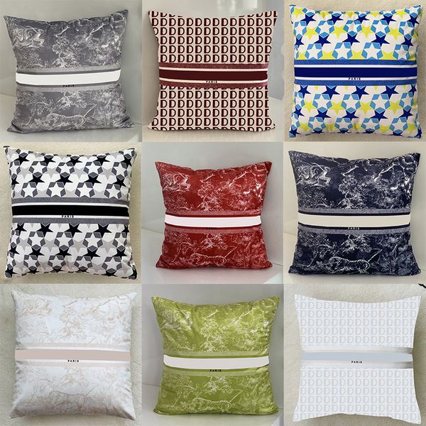 

luxury print pillows classy designer men women cushions home soft pillows personality core decoratiave pillow cushion