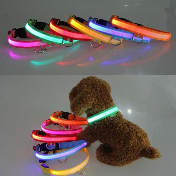 Hundehalsbänder, Leinen, Halsband, Blitz, Nachtsicherheit, LED-Leuchten, fluoreszierendes Geschirr, Heimtierbedarf, Hunde, Katzenzubehör, Hund