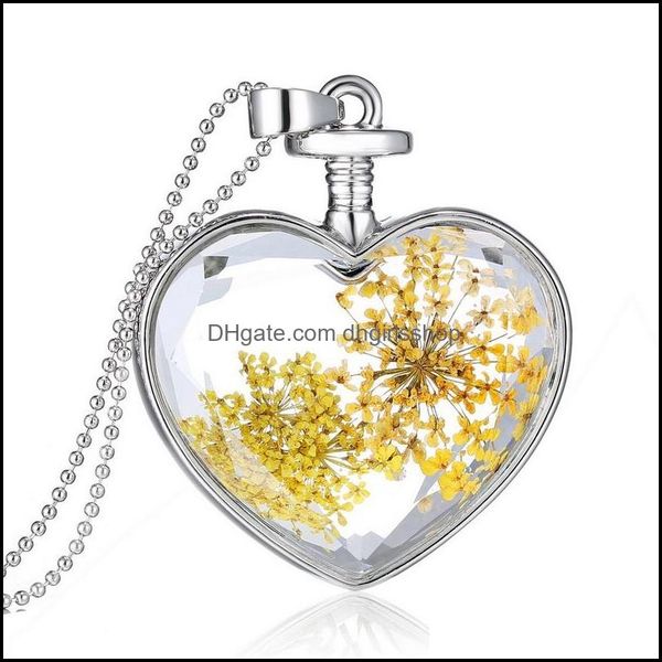 

pendant necklaces pendants jewelry fashion sier plated long chains glass locket for women gift dh5tn, Silver