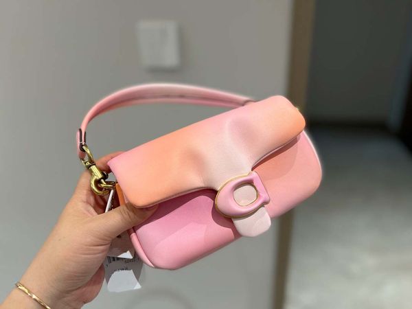 

designer c's pillow tabby shoulder bag women pure color bacchus bags retro hardware cloudy handbags supper soft real leather