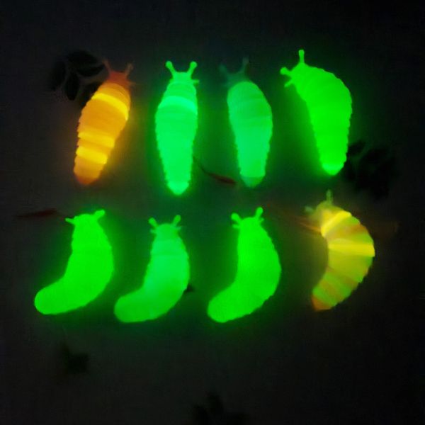 

2022 new small luminous fidget slug decompression toy caterpillar lanyard slug children vent cartoon toys by epack y03
