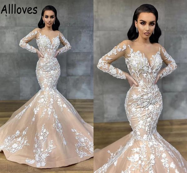 

champagne embroidery lace mermaid wedding gowns with long sleeves sheer neck vintage trumpet bridal dresses arabic aso ebi brides plus size, White