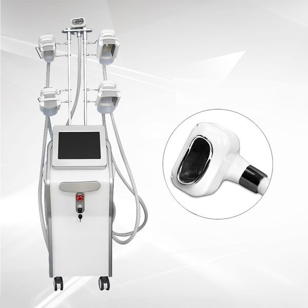 

five handles fat e criolipolise treatment cryolipolysis machine