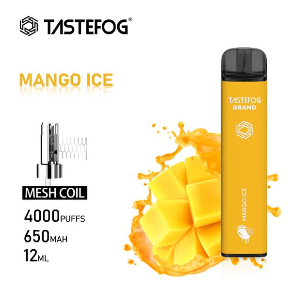 Sigaretta elettronica a penna Vape usa e getta prezzo all'ingrosso FF con 10 ml 650 mAh ricaricabile