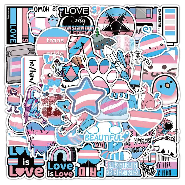 

pack of 60pcs wholesale transgender pride stickers no-duplicate waterproof for luggage skateboard notebook helmet water bottle phone car dec